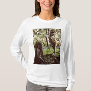 Camiseta Manga larga de las señoras