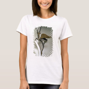 Camiseta Manija bajo la forma de cabra montés con alas,