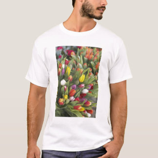 Camiseta Manojos de tulipanes coloridos