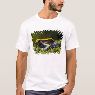 Camiseta Mantella de oído negro, Mantella expectata,