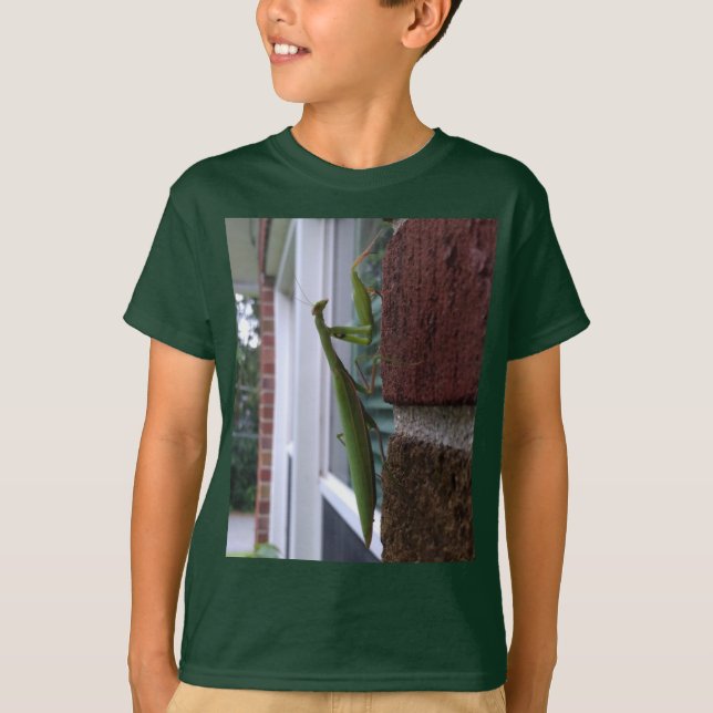 Camiseta Mantis religiosa en pared de ladrillo (Anverso)