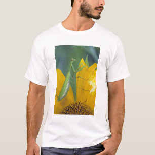 Camiseta Mantis religiosa hembra