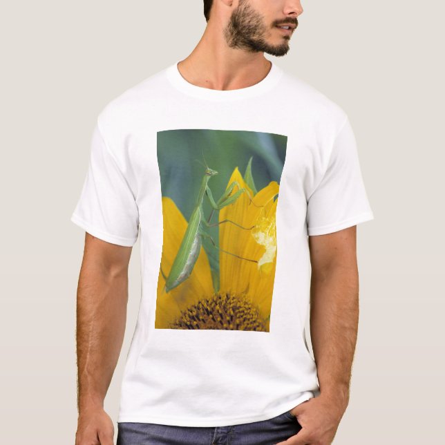 Camiseta Mantis religiosa hembra (Anverso)
