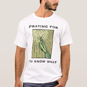 Camiseta Mantis religiosa rezando por usted sabe qué divert