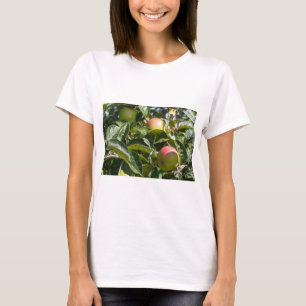 Camiseta Manzanas madurando sobre un manzano