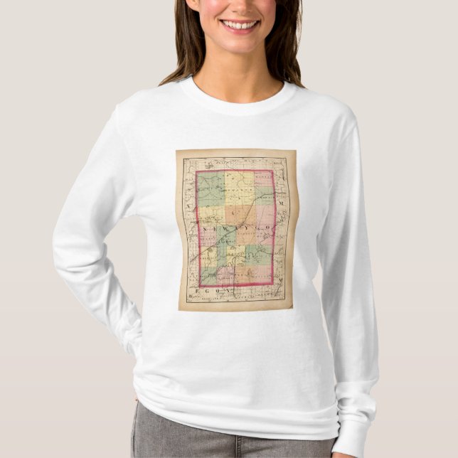 Camiseta Mapa del condado de Newaygo, Michigan (Anverso)