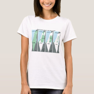 Camiseta Mapa que encoge de Palestina