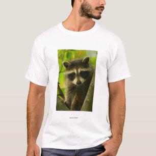 Camiseta Mapache