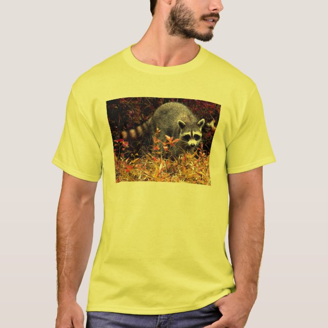 CAMISETA MAPACHE ROCOSO (Anverso)