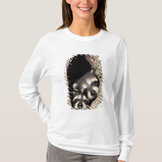 Camiseta Mapaches bebés en cavidad de árbol Procyon (Anverso)