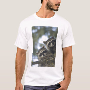 Camiseta Mapaches Procyon Lotor) de Fish Lake, Central