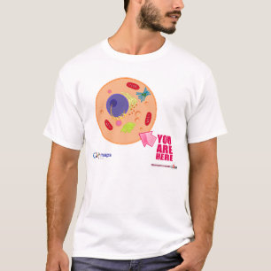 Camiseta Mapas de Globy