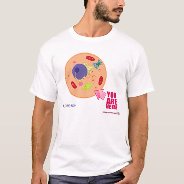 Camiseta Mapas de Globy (Anverso)