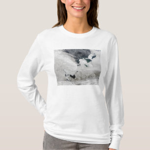 Camiseta Mar blanco, Rusia