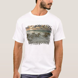 Camiseta Mar Caribe, Islas Caimán. Olas rompientes 3