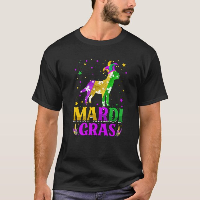 Camiseta Mardi Gras Labrador Carnaval de amantes del perro  (Anverso)