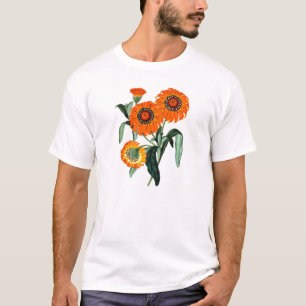 Camiseta Margarita del vintage - Gazania Splendens