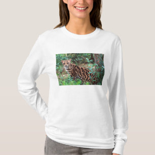 Camiseta Margay, Leopardus wiedi, nativo de México