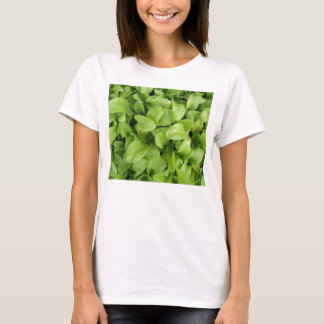 Camiseta Marigold Seedlings Ladies T Shirt