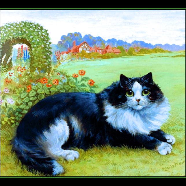 Camiseta Marin County Mount Tamalpais (Cat in the Garden)