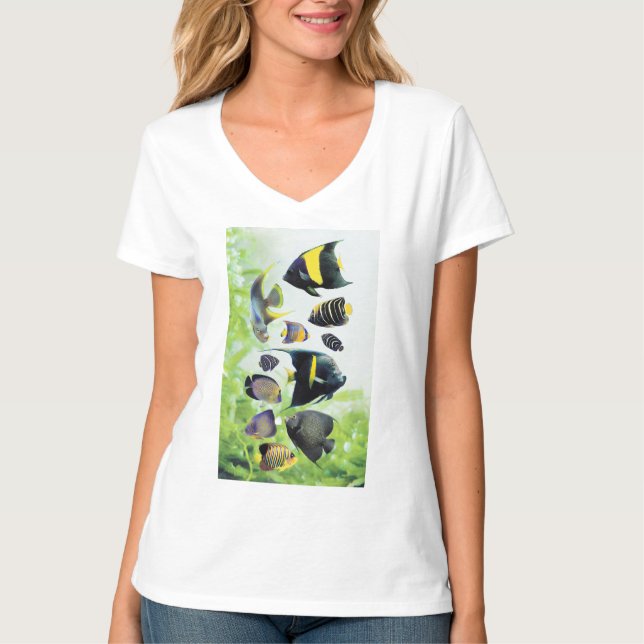 Camiseta Marine Angelfishes (Anverso)