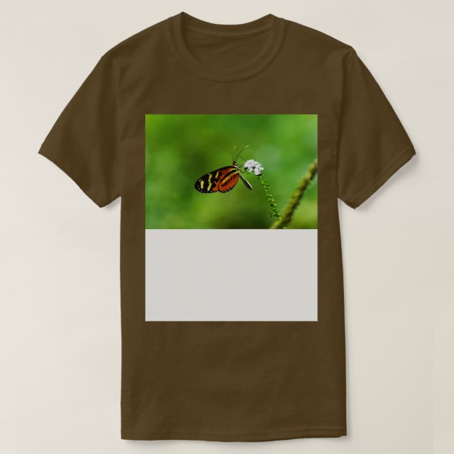 Camiseta Mariposa 1 (Diseño del anverso)