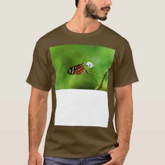 Camiseta Mariposa 1