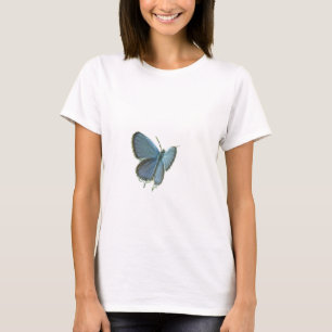 Camiseta Mariposa azul de cola oriental