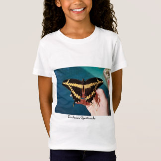 Camiseta Mariposa cola de golondrina gigante