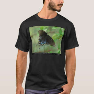 Camiseta Mariposa Cola de Golondrina Negra - Regalos de Amo