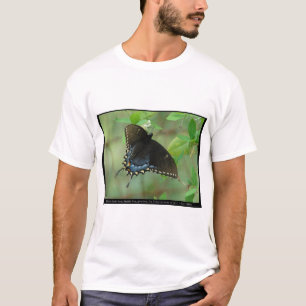 Camiseta Mariposa Cola de Golondrina Negra - Regalos de Amo