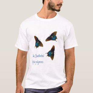 Camiseta Mariposa de cola de cerda negra