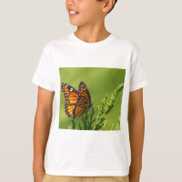 Mariposa de monarca anaranjada y negra