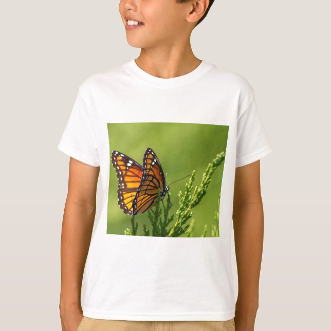 Camiseta Mariposa de monarca anaranjada y negra (Anverso)