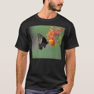Camiseta Mariposa de Polydamus Swallowtail