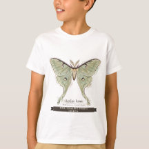 Mariposa Divertida para Niños "Regreso Persiguiend
