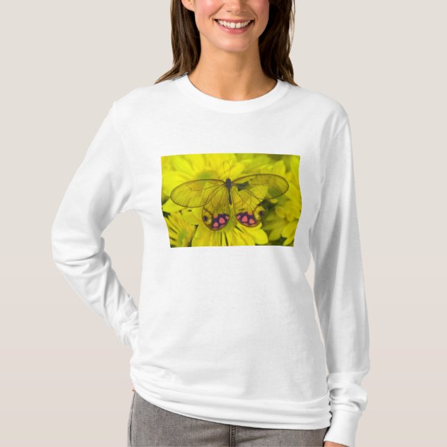 Camiseta Mariposa en amarillo (Anverso)