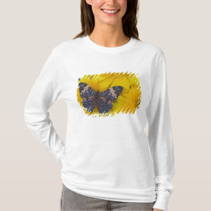 Camiseta Mariposa en una Flor Amarilla