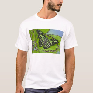 Camiseta Mariposa en verde