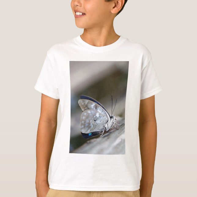 Camiseta Mariposa Gris Azul (Anverso)