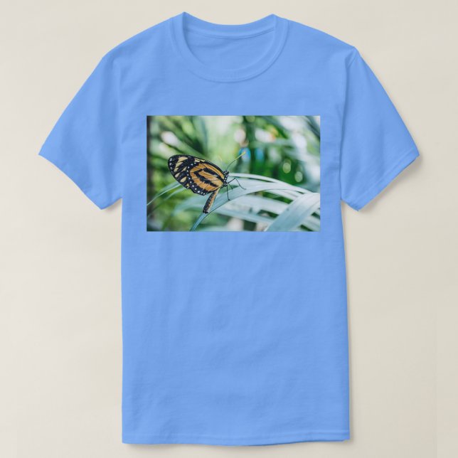 Camiseta Mariposa monarca 11 (Diseño del anverso)