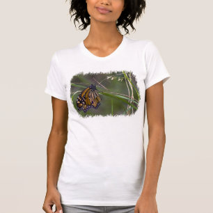 Camiseta Mariposa monarca en el borde blanco de la hierba