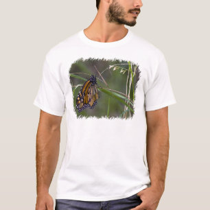 Camiseta Mariposa monarca en la hierba