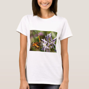 Camiseta Mariposa Naranja en Ropa y Regalos de Jacinto Silv