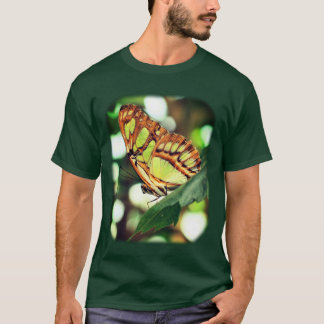Camiseta Mariposa observando la naturaleza