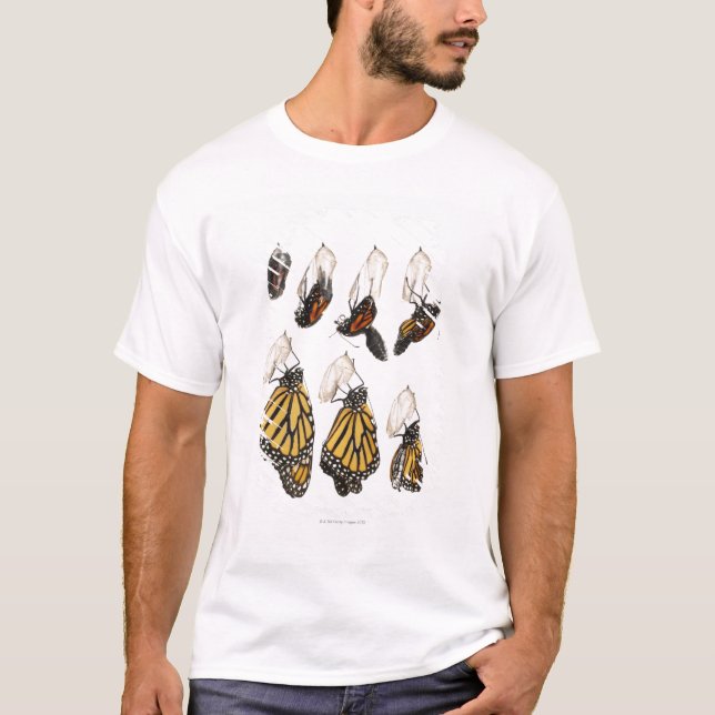 Camiseta Mariposa que emerge de coccoon (Anverso)