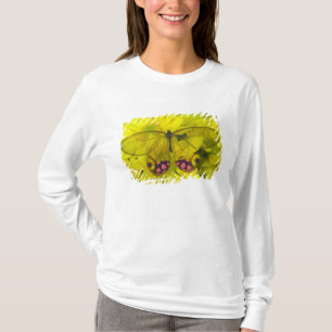 Camiseta Mariposa sobre amarillo