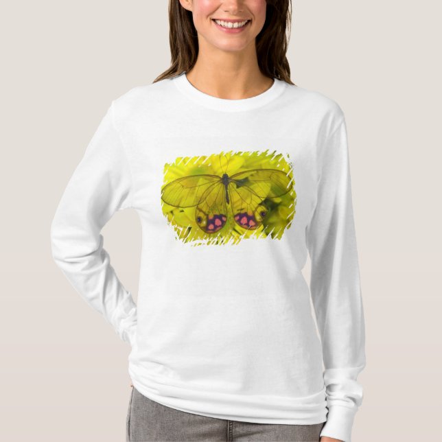 Camiseta Mariposa sobre amarillo (Anverso)