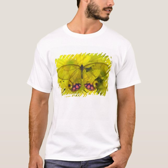 Camiseta Mariposa sobre amarillo (Anverso)