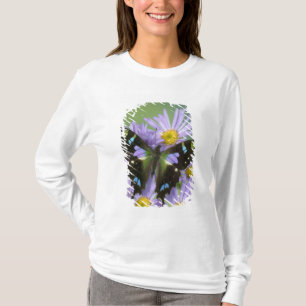 Camiseta Mariposa sobre púrpura